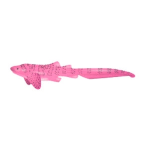 Pink Zebra Shark